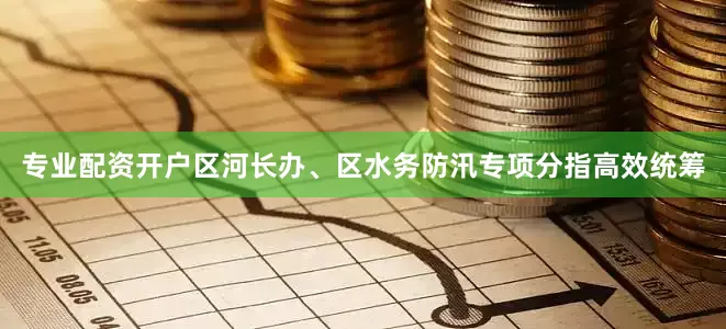 专业配资开户区河长办、区水务防汛专项分指高效统筹
