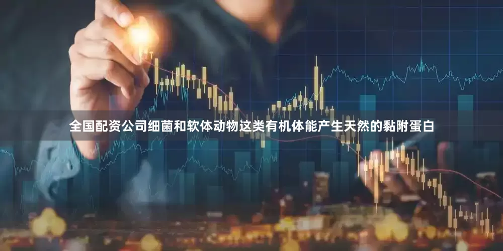 全国配资公司细菌和软体动物这类有机体能产生天然的黏附蛋白