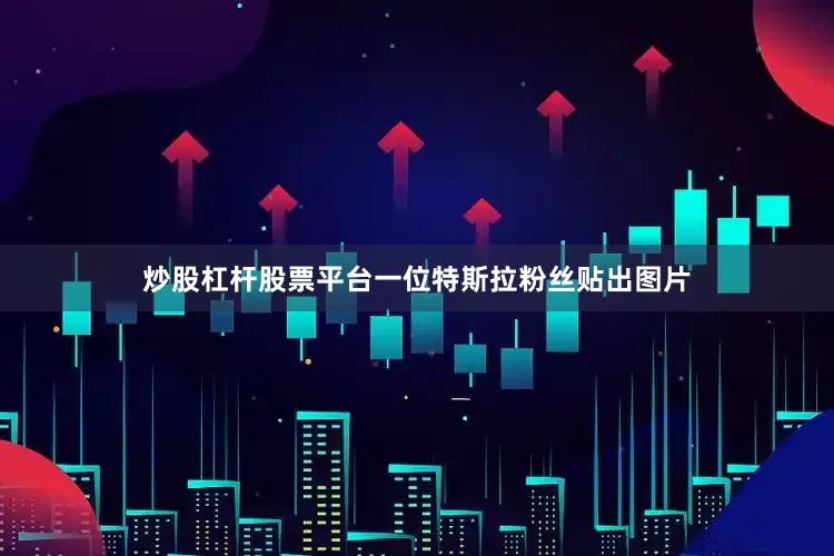 炒股杠杆股票平台一位特斯拉粉丝贴出图片