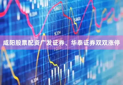 咸阳股票配资广发证券、华泰证券双双涨停