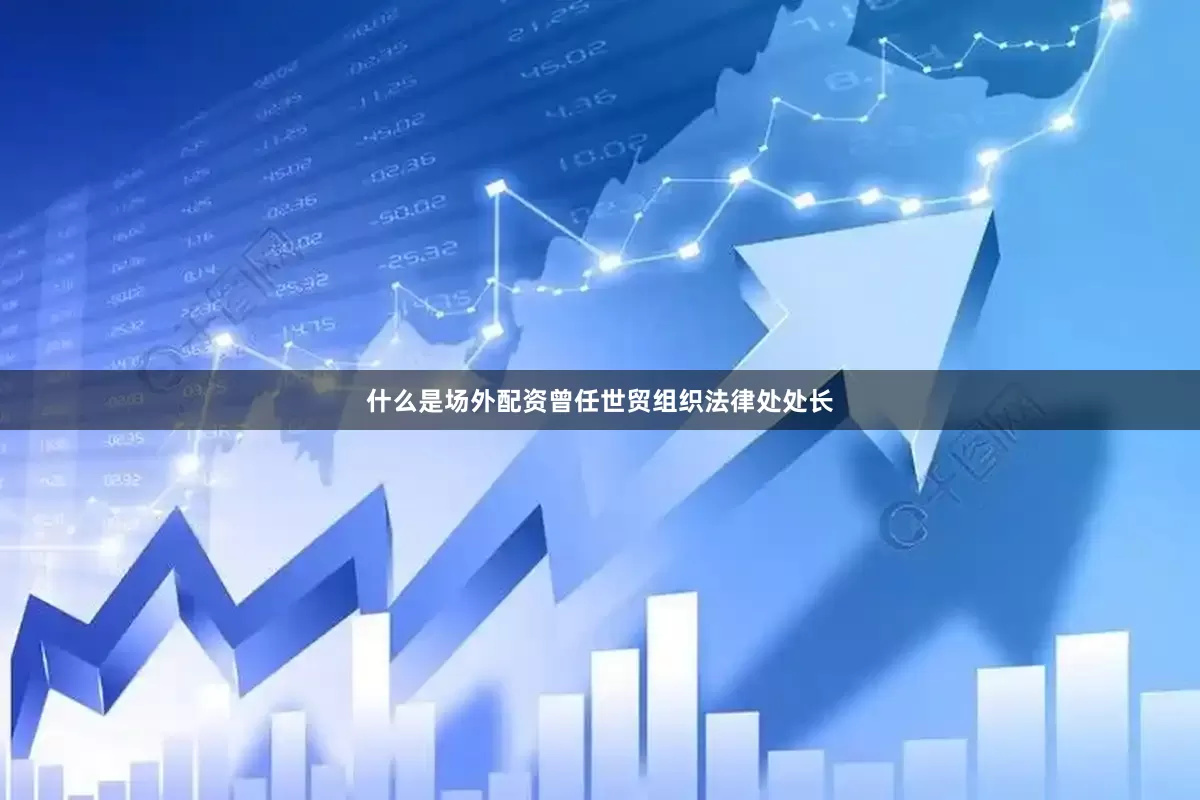 什么是场外配资曾任世贸组织法律处处长