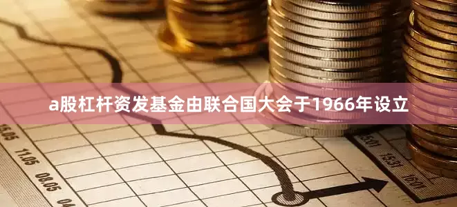 a股杠杆资发基金由联合国大会于1966年设立